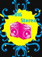 BiGStereo