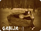 Gabijx