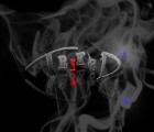 tr1ked