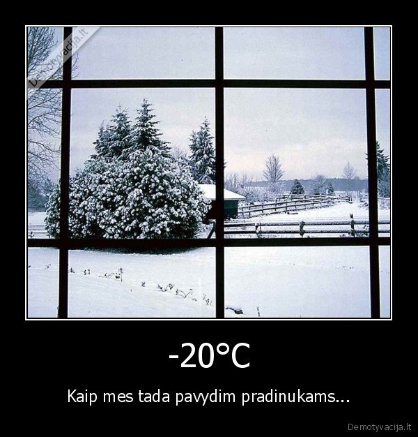 -20°C - Kaip mes tada pavydim pradinukams...