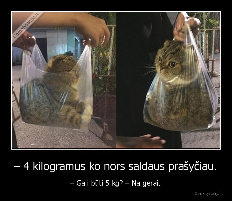 – 4 kilogramus ko nors saldaus prašyčiau. - – Gali būti 5 kg? – Na gerai.