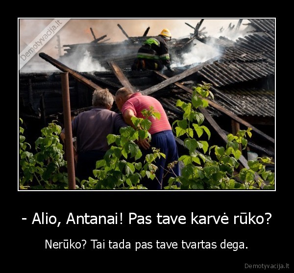 - Alio, Antanai! Pas tave karvė rūko? - Nerūko? Tai tada pas tave tvartas dega.