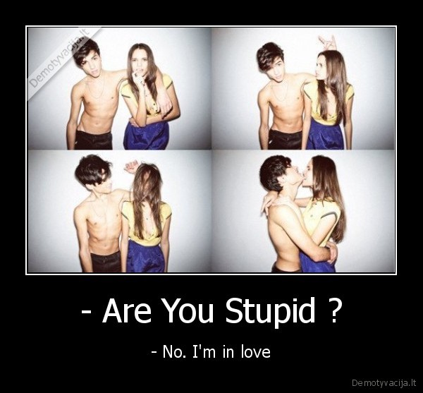 - Are You Stupid ? - - No. I'm in love