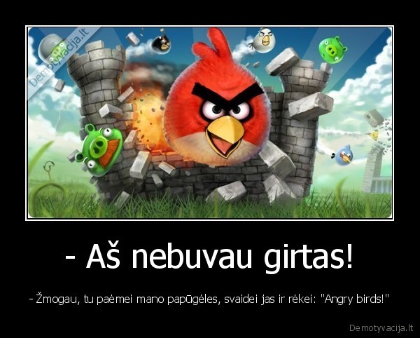 - Aš nebuvau girtas! - - Žmogau, tu paėmei mano papūgėles, svaidei jas ir rėkei: "Angry birds!"