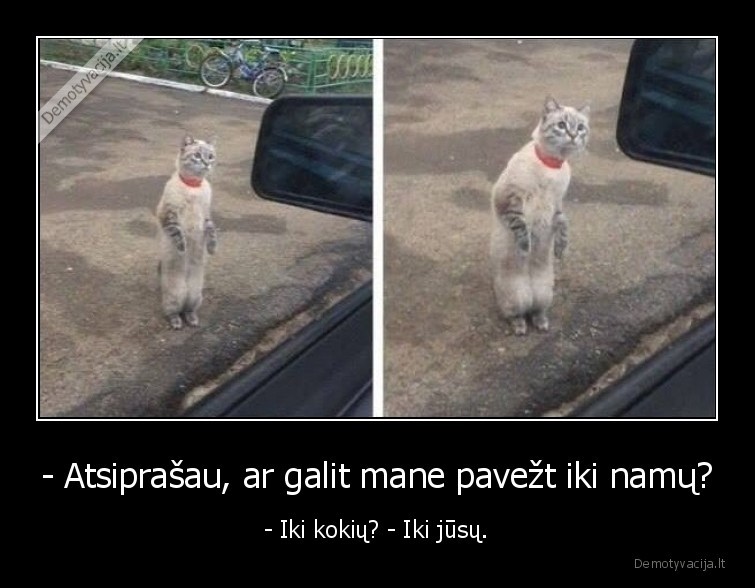 - Atsiprašau, ar galit mane pavežt iki namų? - - Iki kokių? - Iki jūsų.