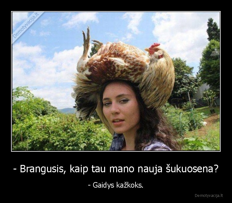 - Brangusis, kaip tau mano nauja šukuosena? - - Gaidys kažkoks.