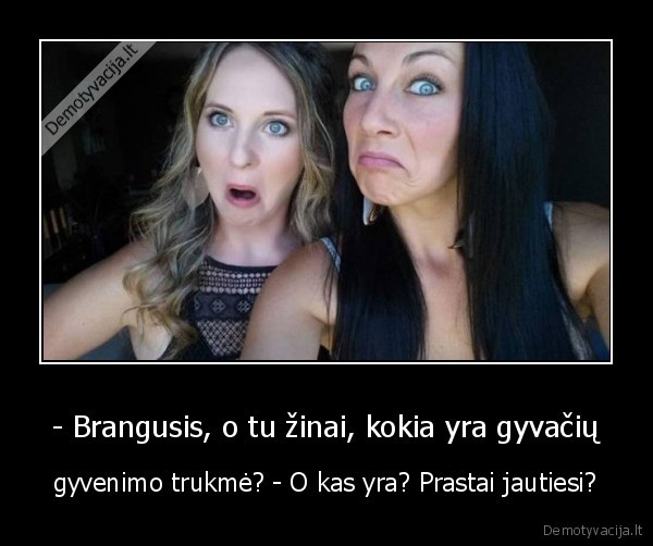 - Brangusis, o tu žinai, kokia yra gyvačių - gyvenimo trukmė? - O kas yra? Prastai jautiesi?