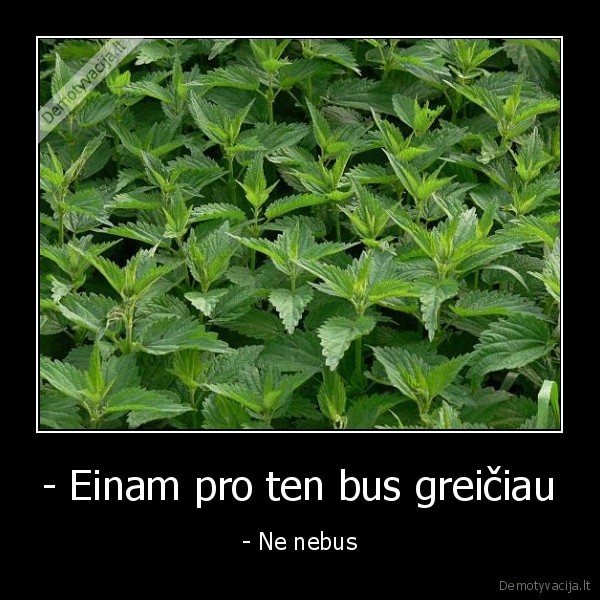 - Einam pro ten bus greičiau - - Ne nebus