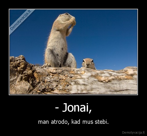 - Jonai, - man atrodo, kad mus stebi.