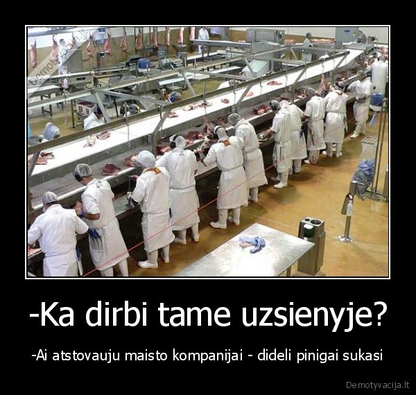 -Ka dirbi tame uzsienyje? - -Ai atstovauju maisto kompanijai - dideli pinigai sukasi