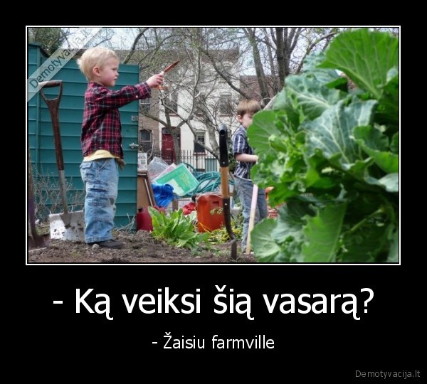 - Ką veiksi šią vasarą? - - Žaisiu farmville