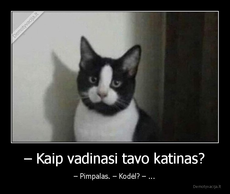 – Kaip vadinasi tavo katinas? - – Pimpalas. – Kodėl? – ...