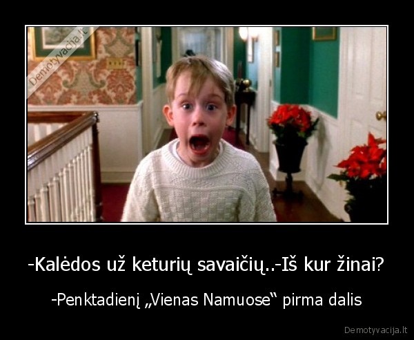 -Kalėdos už keturių savaičių..-Iš kur žinai? - -Penktadienį „Vienas Namuose“ pirma dalis