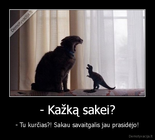 - Kažką sakei? - - Tu kurčias?! Sakau savaitgalis jau prasidėjo!