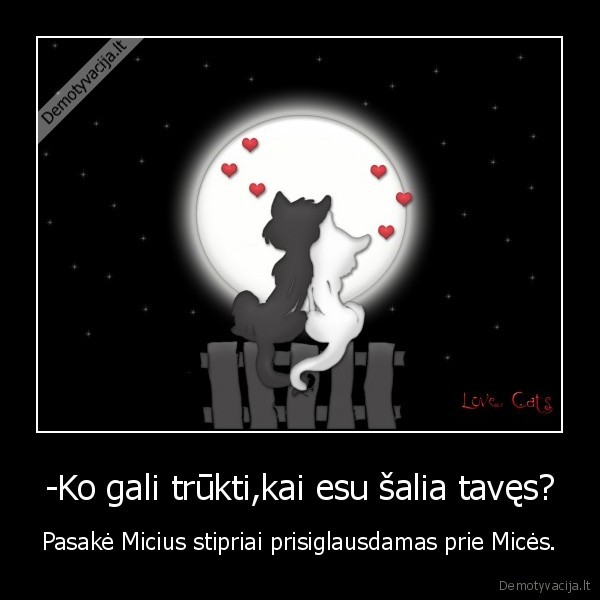 -Ko gali trūkti,kai esu šalia tavęs? - Pasakė Micius stipriai prisiglausdamas prie Micės.