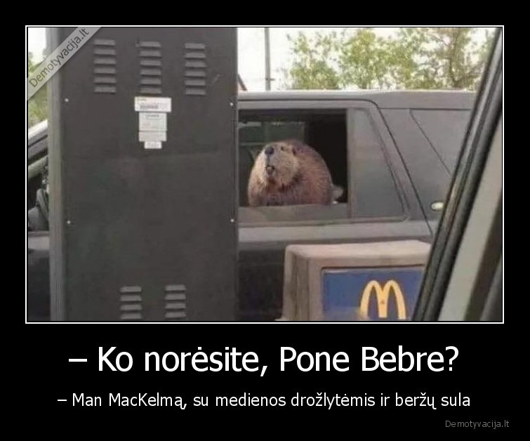 – Ko norėsite, Pone Bebre? - – Man MacKelmą, su medienos drožlytėmis ir beržų sula