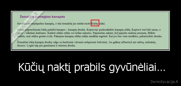  Kūčių naktį prabils gyvūnėliai… - 