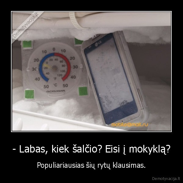 - Labas, kiek šalčio? Eisi į mokyklą? - Populiariausias šių rytų klausimas.