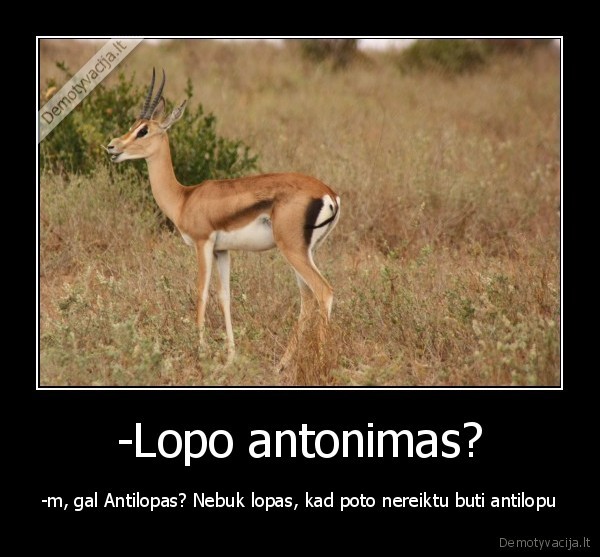 -Lopo antonimas? - -m, gal Antilopas? Nebuk lopas, kad poto nereiktu buti antilopu