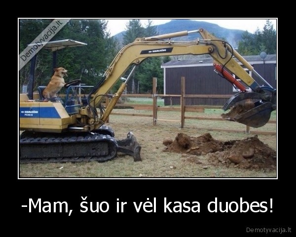 -Mam, šuo ir vėl kasa duobes! - 