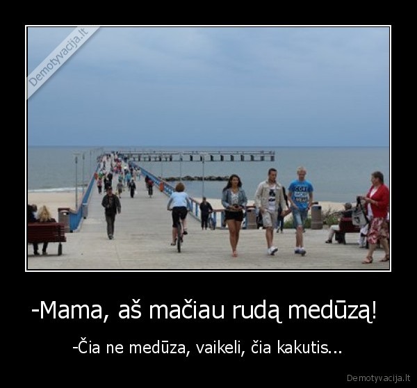 -Mama, aš mačiau rudą medūzą!  - -Čia ne medūza, vaikeli, čia kakutis...