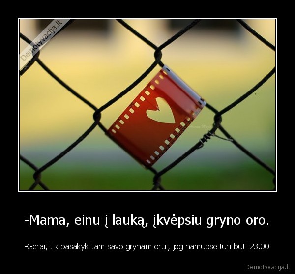 -Mama, einu į lauką, įkvėpsiu gryno oro. - -Gerai, tik pasakyk tam savo grynam orui, jog namuose turi būti 23.00