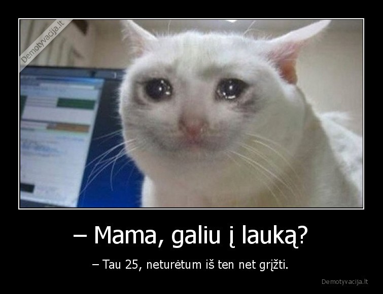 – Mama, galiu į lauką? - – Tau 25, neturėtum iš ten net grįžti.