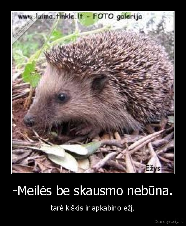 -Meilės be skausmo nebūna. - tarė kiškis ir apkabino ežį.