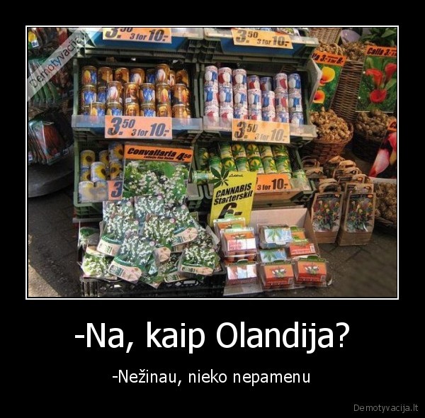 -Na, kaip Olandija? - -Nežinau, nieko nepamenu