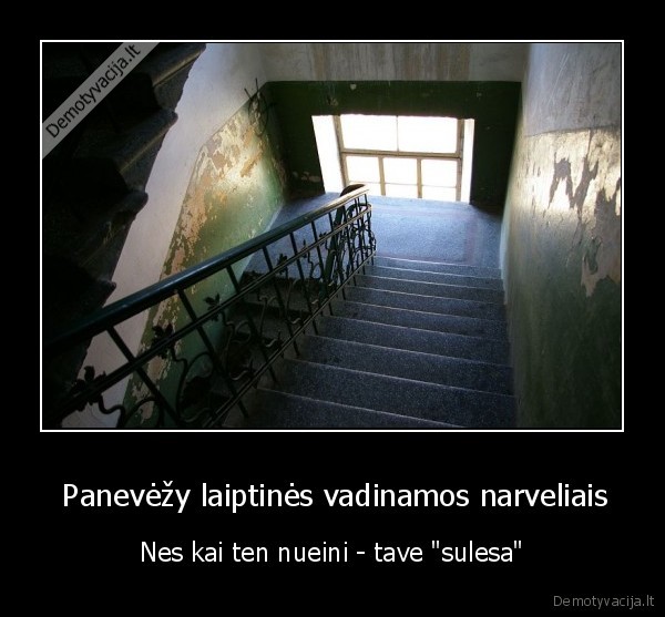  Panevėžy laiptinės vadinamos narveliais - Nes kai ten nueini - tave "sulesa"