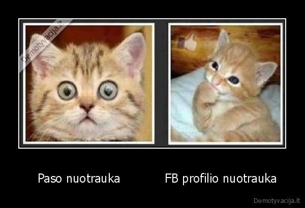    Paso nuotrauka            FB profilio nuotrauka - 