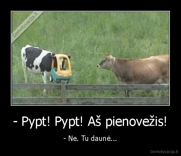 - Pypt! Pypt! Aš pienovežis! - - Ne. Tu daunė...