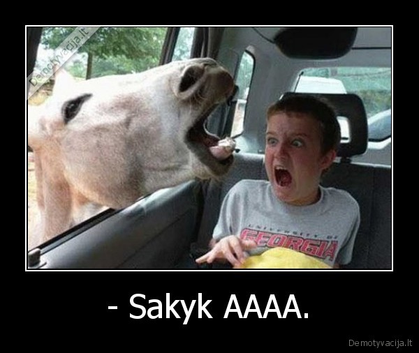 - Sakyk AAAA. - 