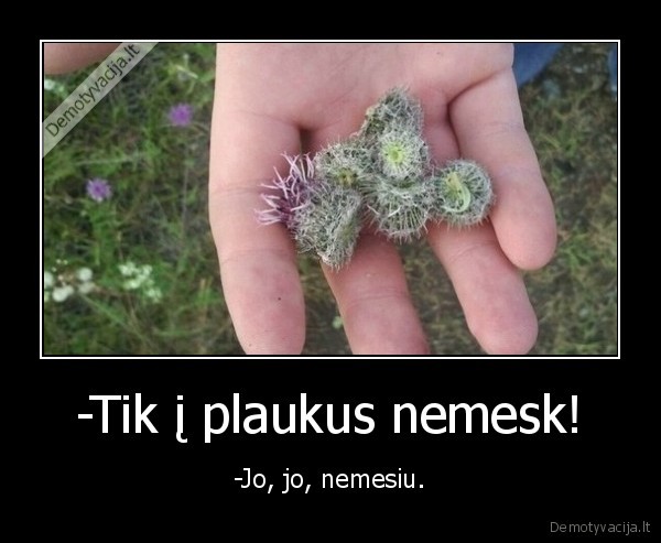 -Tik į plaukus nemesk! - -Jo, jo, nemesiu.