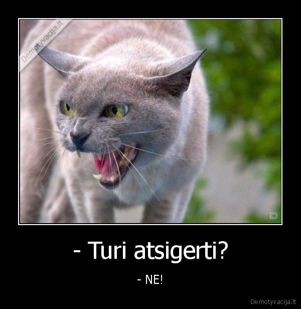 - Turi atsigerti? - - NE!