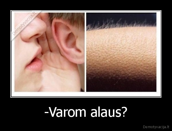 -Varom alaus? - 