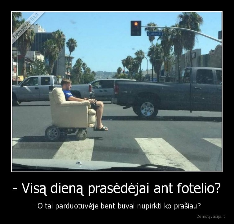 - Visą dieną prasėdėjai ant fotelio? - - O tai parduotuvėje bent buvai nupirkti ko prašiau?