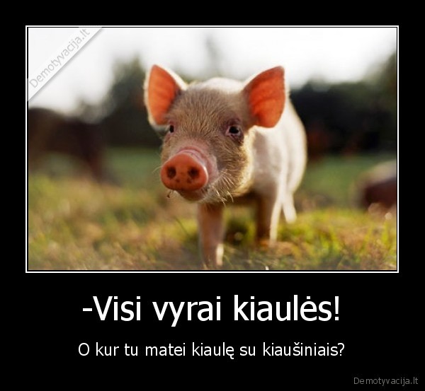 -Visi vyrai kiaulės! - O kur tu matei kiaulę su kiaušiniais?