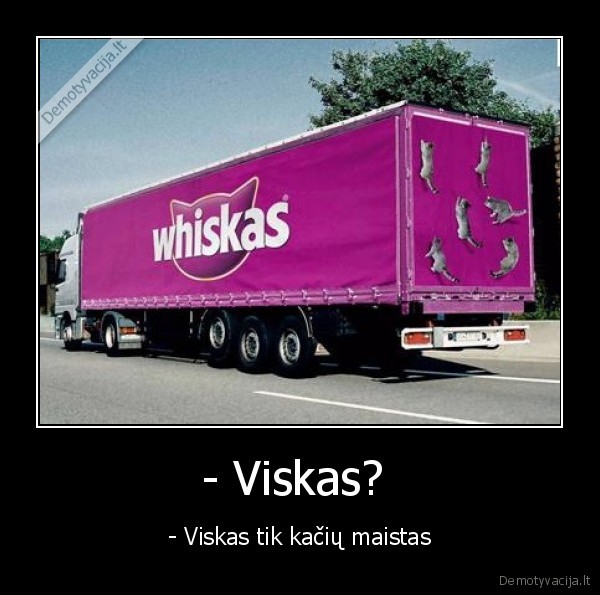 - Viskas?  - - Viskas tik kačių maistas