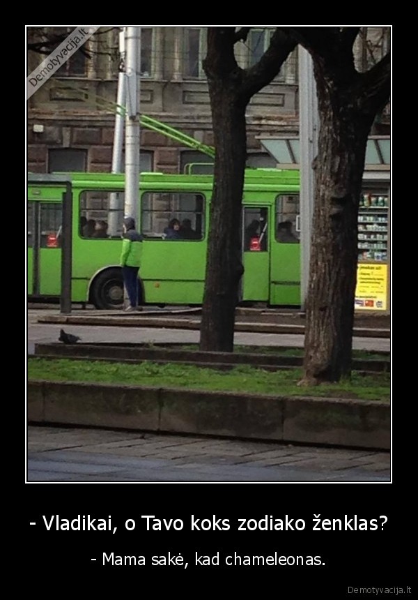 - Vladikai, o Tavo koks zodiako ženklas? - - Mama sakė, kad chameleonas.