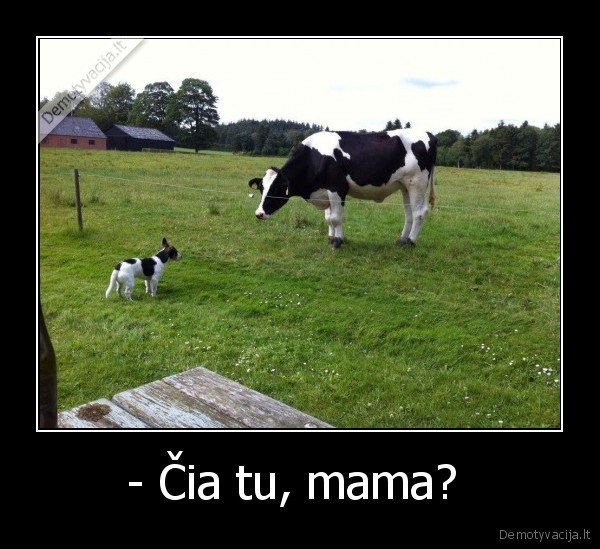 - Čia tu, mama?  - 