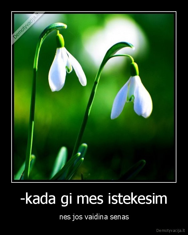 -kada gi mes istekesim - nes jos vaidina senas