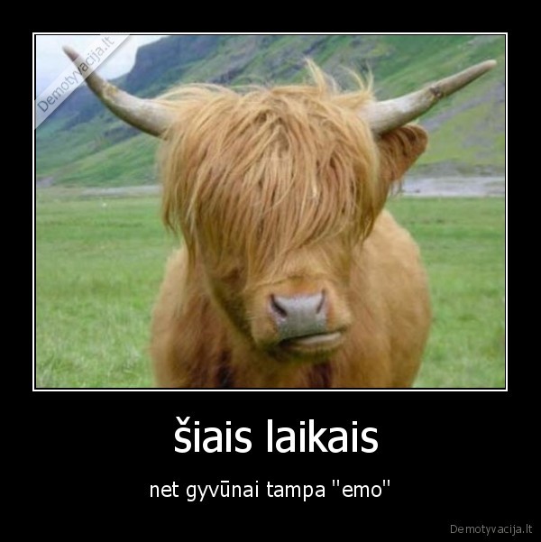  šiais laikais - net gyvūnai tampa ''emo''