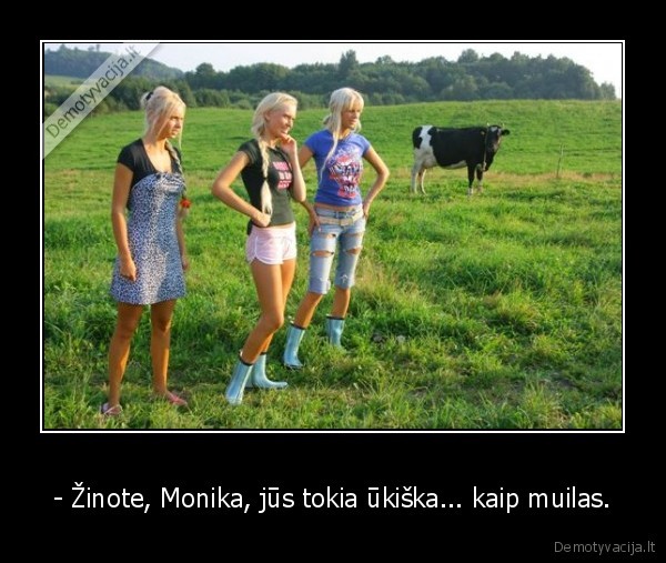 - Žinote, Monika, jūs tokia ūkiška... kaip muilas. - 