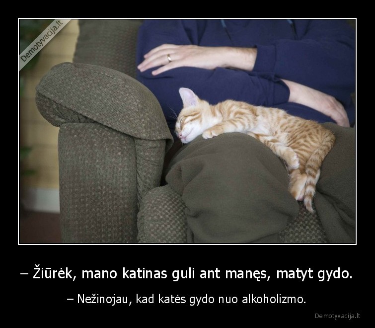 – Žiūrėk, mano katinas guli ant manęs, matyt gydo. - – Nežinojau, kad katės gydo nuo alkoholizmo.