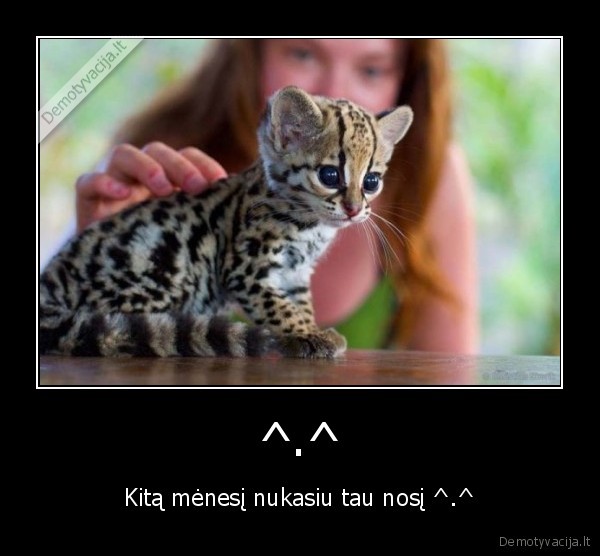 ^.^ - Kitą mėnesį nukasiu tau nosį ^.^