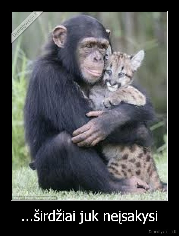 ...širdžiai juk neįsakysi - 