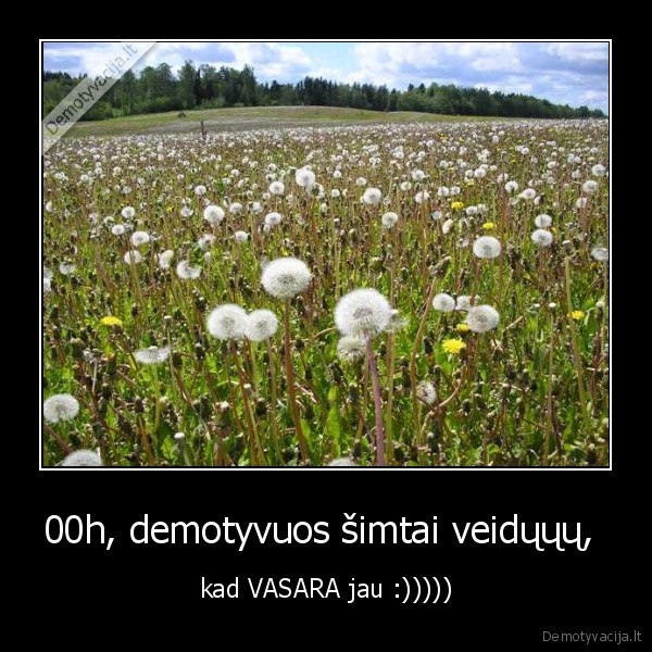 00h, demotyvuos šimtai veidųųų,  - kad VASARA jau :)))))