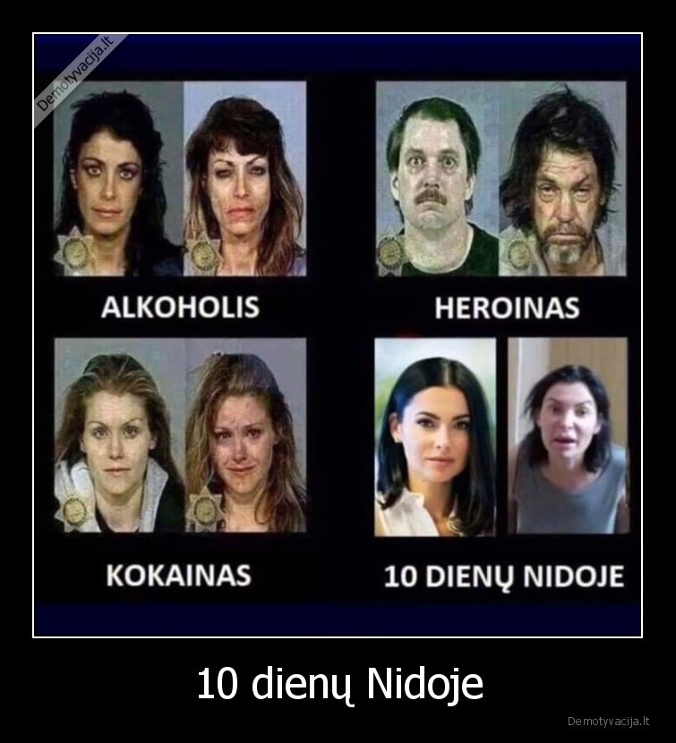 10 dienų Nidoje - 