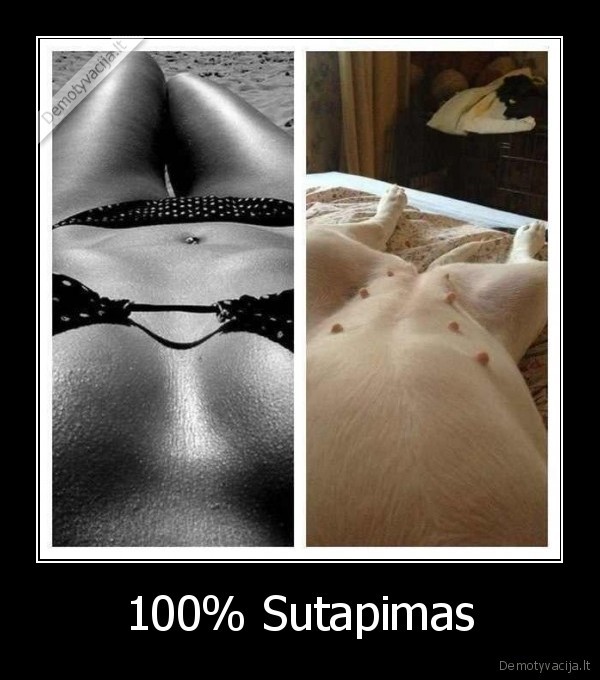 100% Sutapimas - 